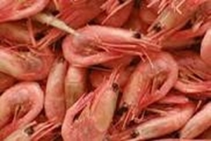 Picture of Shell-On Prawns 400g