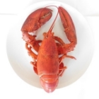 Picture of Fresh UK Lobster (Cooked, Whole, Frozen)