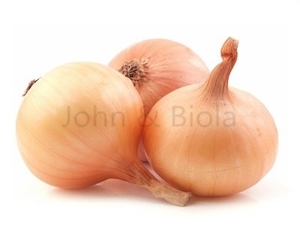 Picture of Fresh Onion