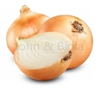 Picture of Spanish Onion Large