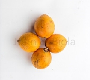 Picture of African Star Apple  (Agbalumo, Udara, Chiwo - 1 Apple) - IN SEASON