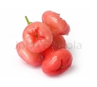 Picture of Star Apple Exotic (1 Apple)