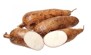 Picture of Fresh Cassava Tuber (Manihot esculenta)