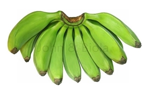 Picture of Green Banana