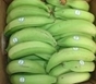 Picture of Green Plantain
