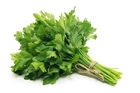 Picture of Fresh Parsley Leaf