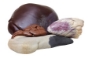 Picture of Beef Mix Gold (Feet,Kidney,Liver,Lung,Skin)