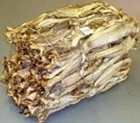 Picture of Tusk Stockfish Osan Medium-Large 20/50cm (Brosme brosme) - WHOLESALE BAG 45KG