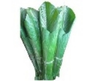 Picture of Fresh  Moi Moi Leaf (Thaumatococcus Daniellii Leaf) - Box (10 Bunches)