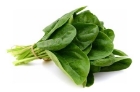 Picture of Fresh Spinach Leaf - Box (20 Bunches)